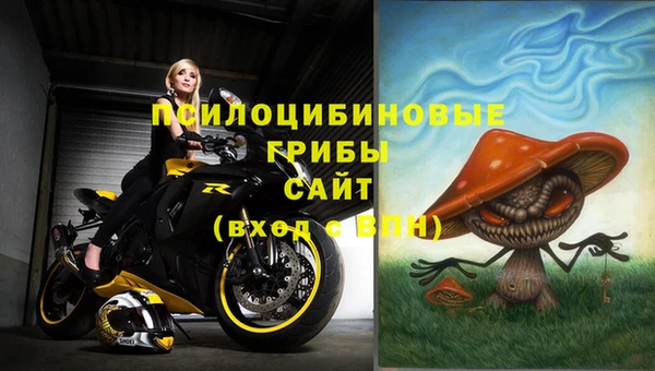 скорость Алексин