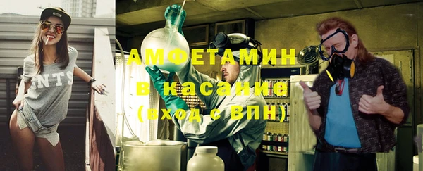 крисы Алзамай